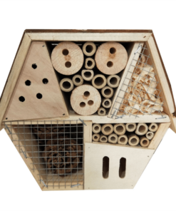 bee house