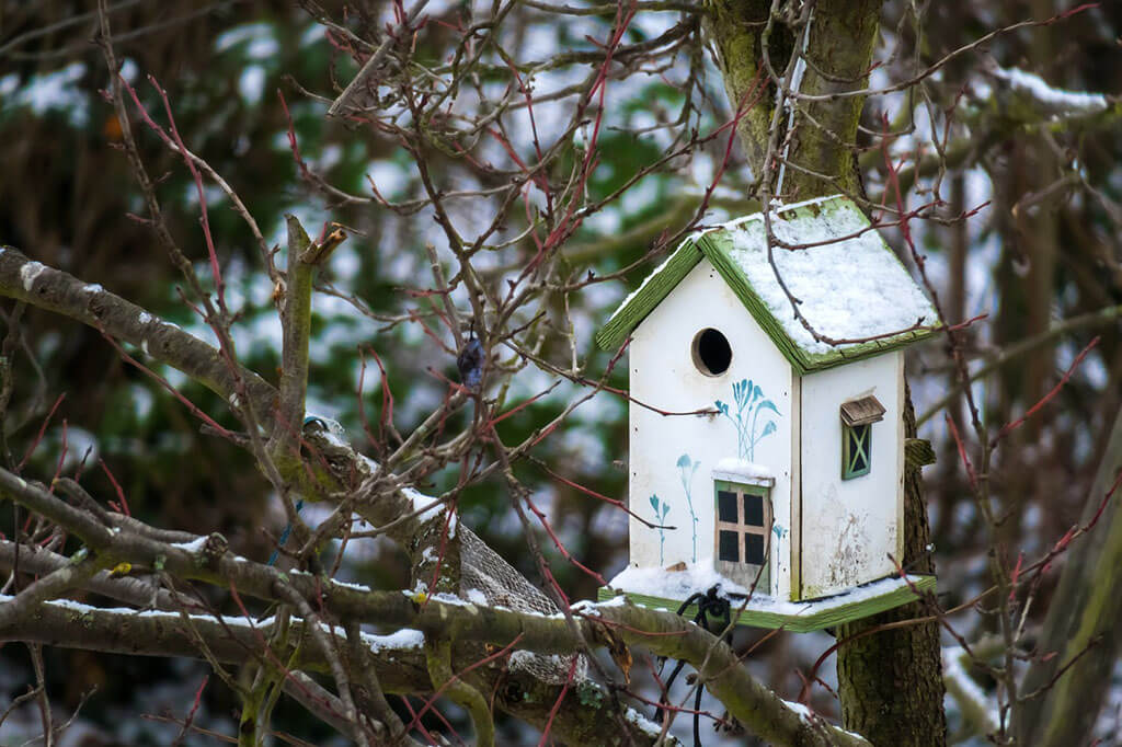 birdhouse