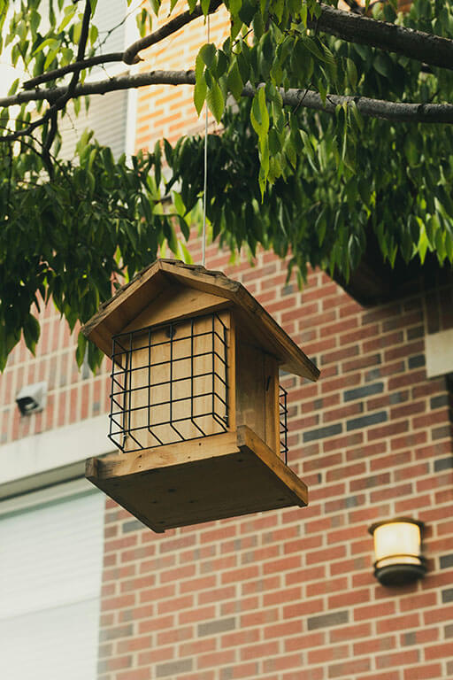 birdhouse