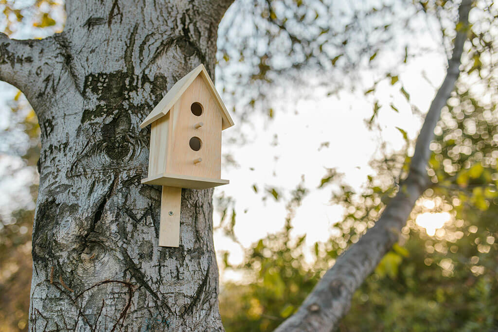 birdhouse