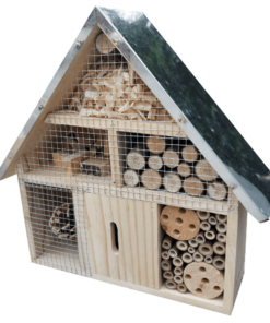 insect home