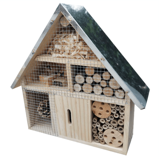 insect home