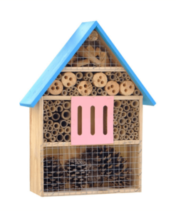 insect house