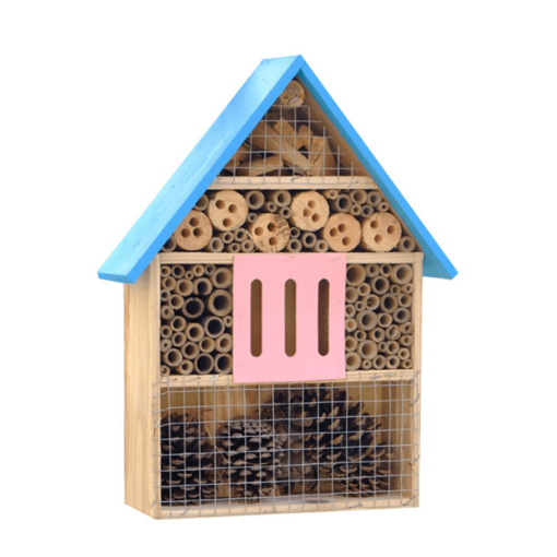 insect house