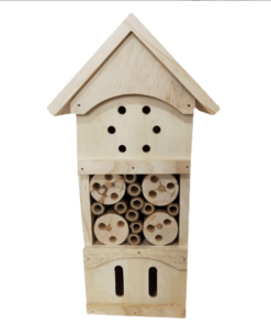 insect house