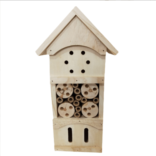 insect house