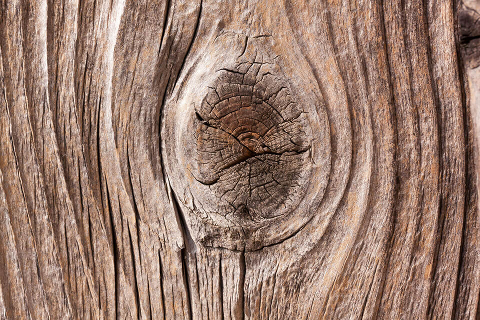 right wood 