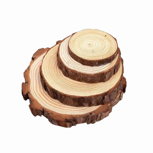 wood slice plateZRWT7045