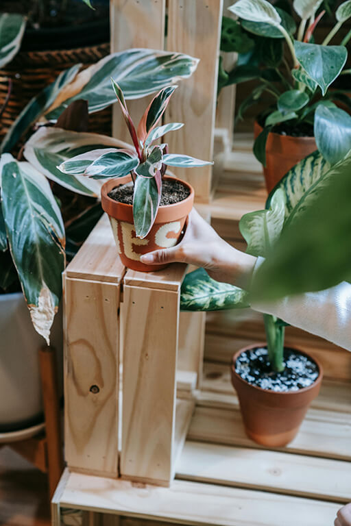 wooden plant stand